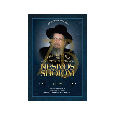 Gems from the Nesivos Sholom - Nesivei Chinuch