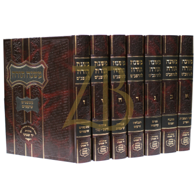 רמב"ם - יד שבתי - ז"כ