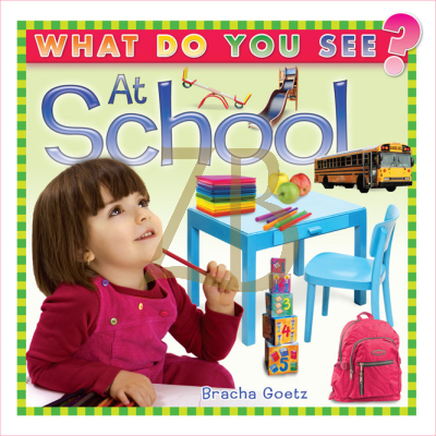 What Do You See At School