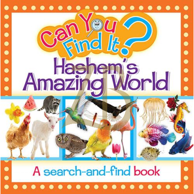 Can You Find It - HASHEMS AMAZING WORLD