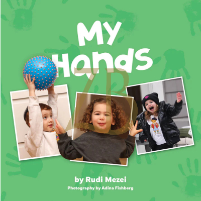 My Hands - Board Book