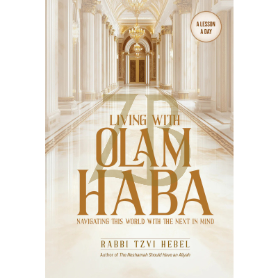 Living with Olam Haba - A Lesson A Day - Hebel