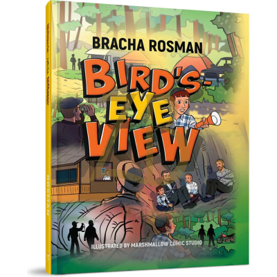 Bird's Eye View - Rosman - Comic