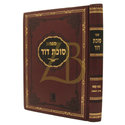 סוכת דוד - בבא קמא ח"א