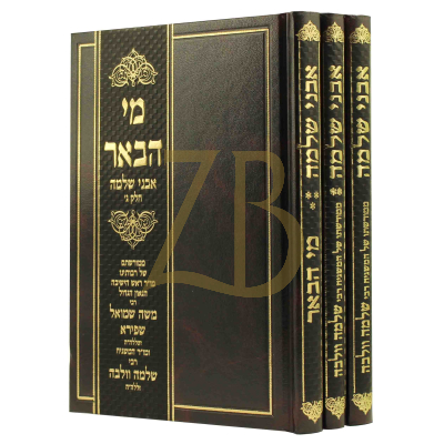 אבני שלמה - ר' שלמה וולבה ג"כ