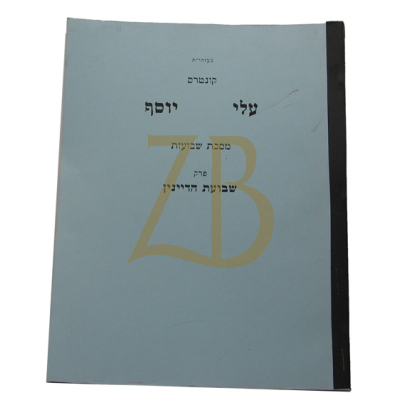 עלי יוסף - שבועות - שבועת הדיינין