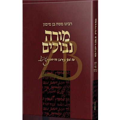 מורה נבוכים - פלדהיים