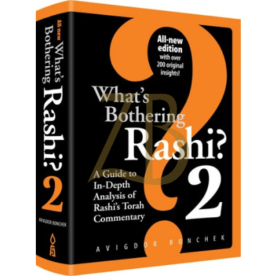 What's Bothering Rashi 2