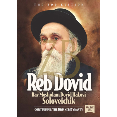 Reb Dovid Soloveichik - Vol. 1 - R. S. Y. Meller