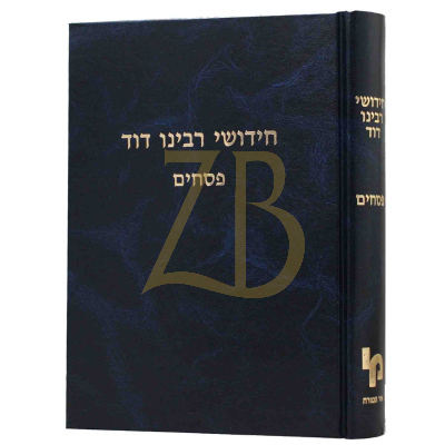 חידושי רבינו דוד - פסחים
