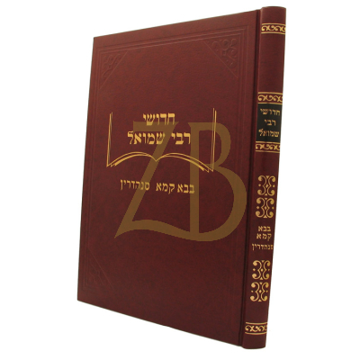 חידושי רבי שמואל - בבא קמא - סנהדרין