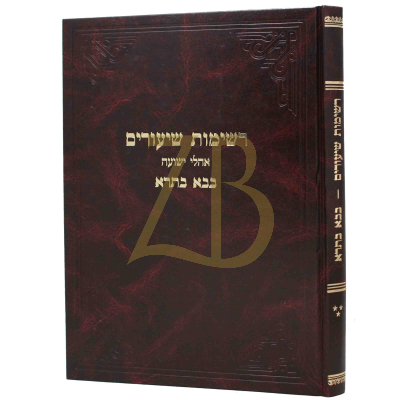 רשימות שיעורים - בבא בתרא - קלמנוביץ