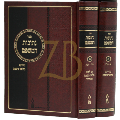 נתיבות המשפט - ב"כ דזימיטרובסקי - בינוני