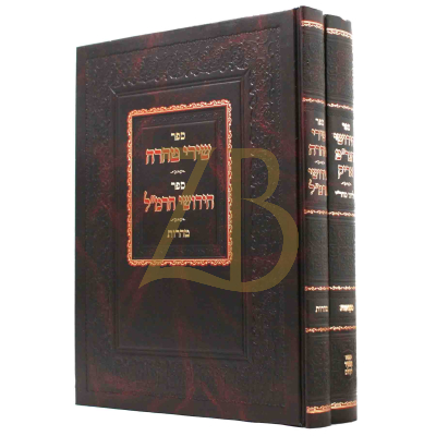 חידושי הגר"מ אריק מקואות ~ שירי טהרה טהרות - ב"כ