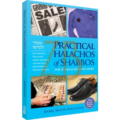 Practical Halachos Of Shabbos - R' Mayer Birnbaum