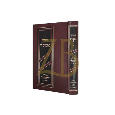 שמחתי באומרים לי