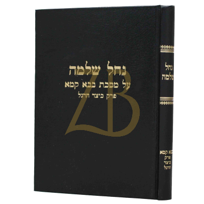נחל שלמה - בבא קמא פרק כיצד הרגל