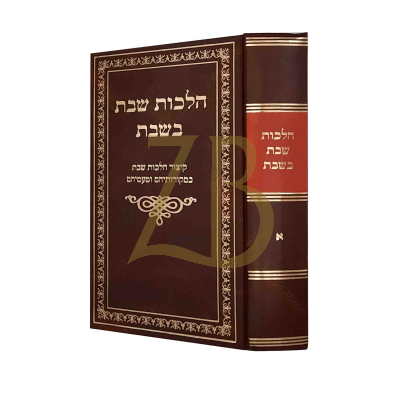 הלכות שבת בשבת - ח"א
