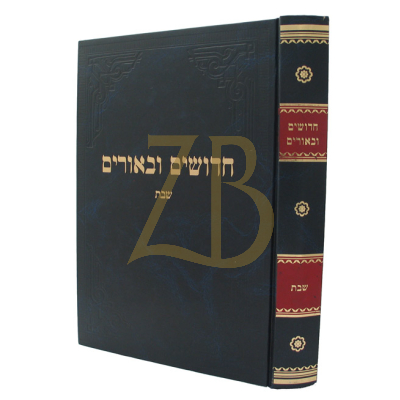 חדושים ובאורים - שבת