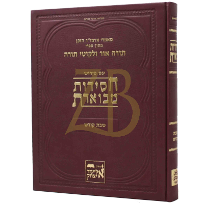 חסידות מבוארת - שבת קודש