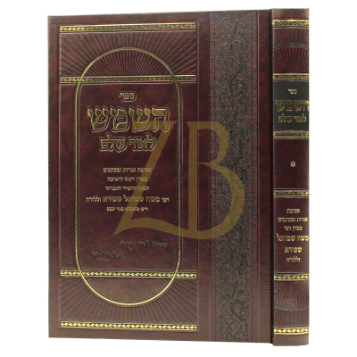 השמש לאור עולם - מכתבים מרבי משה שמואל שפירא