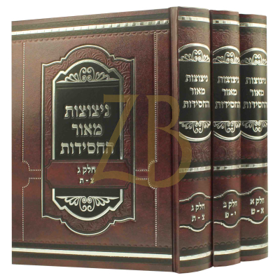 ניצוצות מאור החסידות - הרב משה שלמה כשר - ג"כ