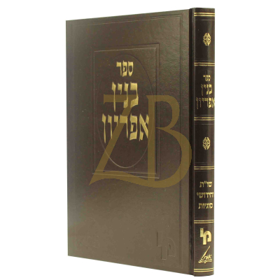 בנין אפריון - שו"ת וחידושי סוגיות
