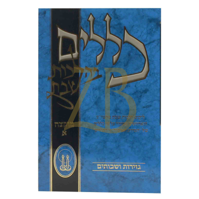 כללים בהלכות שבת - מוקצה חלק א