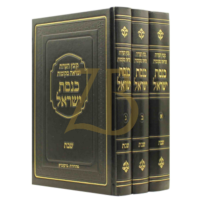 כנסת ישראל - קובץ הערות - עמ"ס שבת - ג"כ