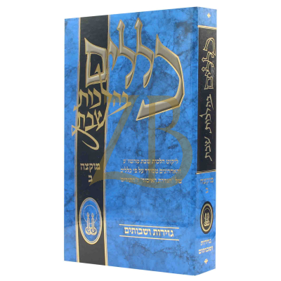 כללים בהלכות שבת - מוקצה חלק ב