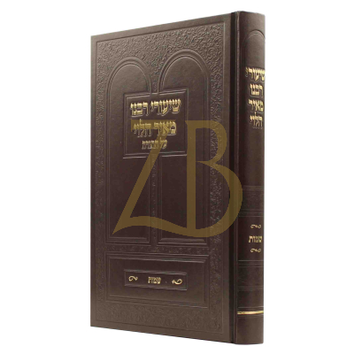 שיעורי רבנו מאיר הלוי - שמות