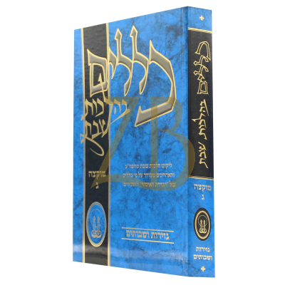 כללים בהלכות שבת - מוקצה חלק ג
