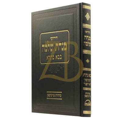 מנחת שלמה - ב"ב השותפין ~ לא יחפור