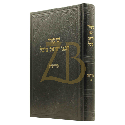 שיעורי רבנו יחיאל מיכל - כריתות ב