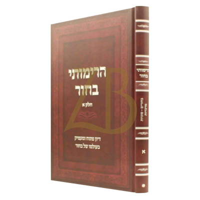 הרימותי בחור - דיון פתוח ומעמיק בעולמו של בחור