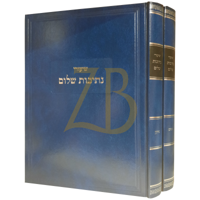 שיעורי נתיבות שלום - נשים נזיקין - ב"כ