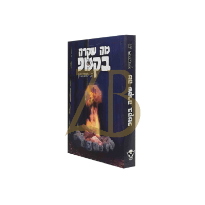 מה שקרה בקמפ - א. שטארק