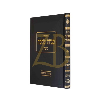 מנחת שלמה - גיטין פרק המביא