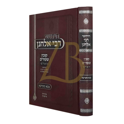 חידושי רבי אלחנן - קובץ שעורים השלם - בבא מציעא
