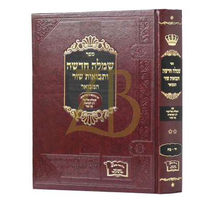 שמלה חדשה ותבואות שור המבואר - סי' יד - כח - גדול