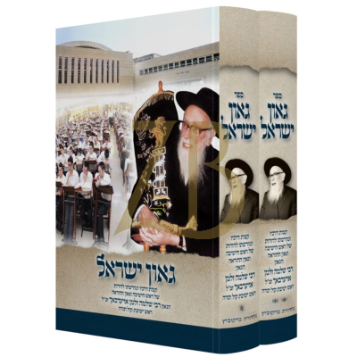 גאון ישראל - על הגאון ר' שלמה זלמן אוירבך ב"כ