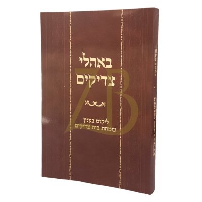 באהלי צדיקים - ליקוט בענין שמחת בית צדיקים - כ"ר