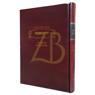 עיוני תורה - בבא מציעא - רבי חיים ליב עפשטיין