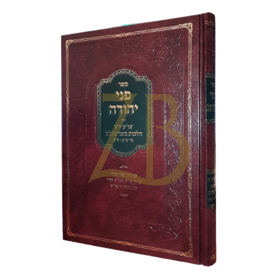 פני יהודה - בשר בחלב