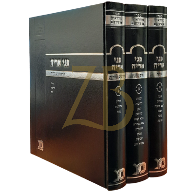 פני אריה - למהרא"ל צינץ מועדים נשים נזיקין - ג"כ