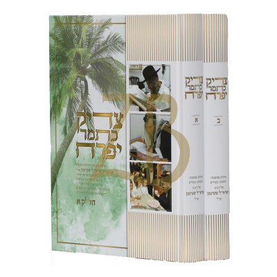 צדיק כתמר יפרח - הגראי"ל שטינמן - ב"כ