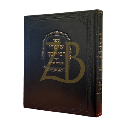 שיעורי רבי יוסף - וינברג - בבא מציעא ~ מכות