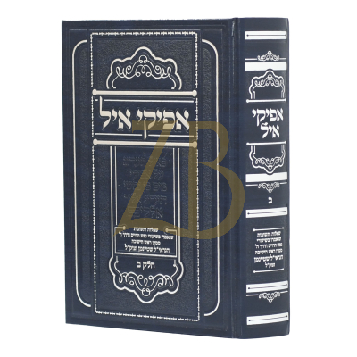 אפיקי איל - שו"ת שנאמרו בשיעורי הגראי"ל שטיינמן - ח"ב