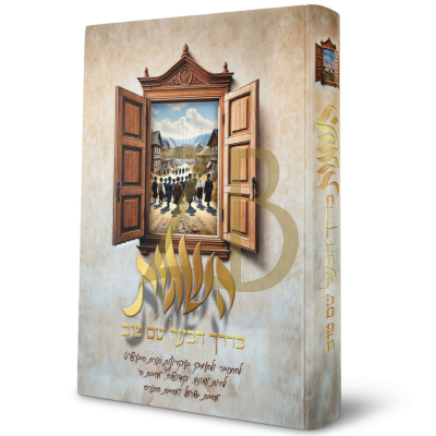 השגות - בדרך הבעל שם טוב