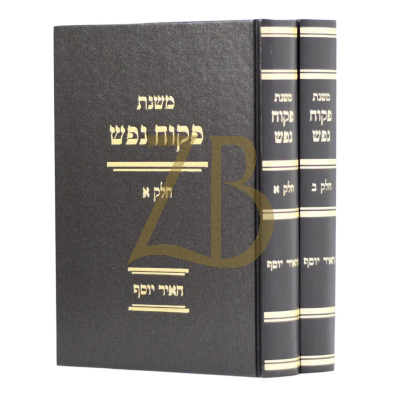 משנת פיקוח נפש - האיר יוסף - ב"כ